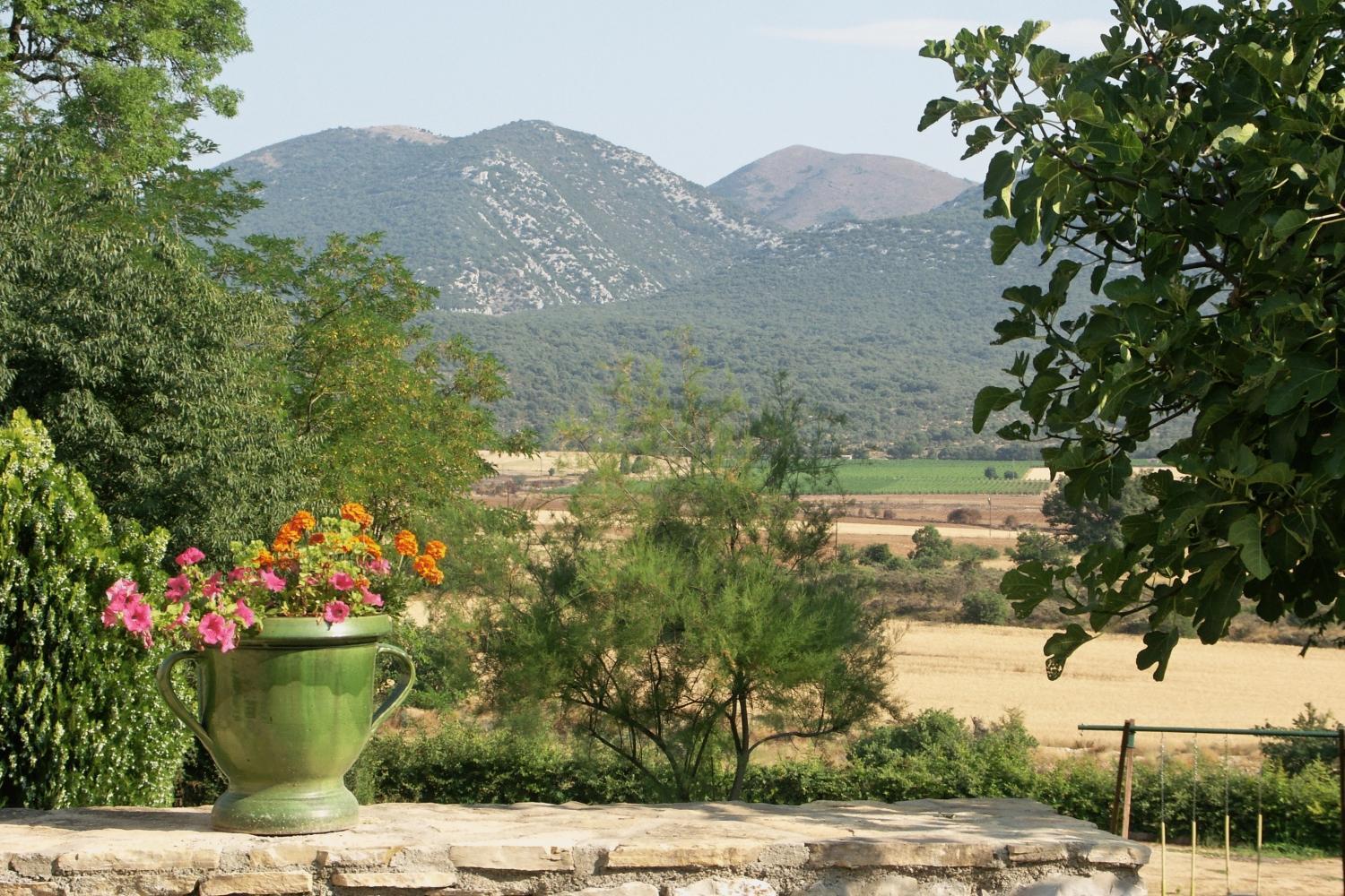 Domaine De Blancardy Hotel Moules-et-Baucels Exterior photo